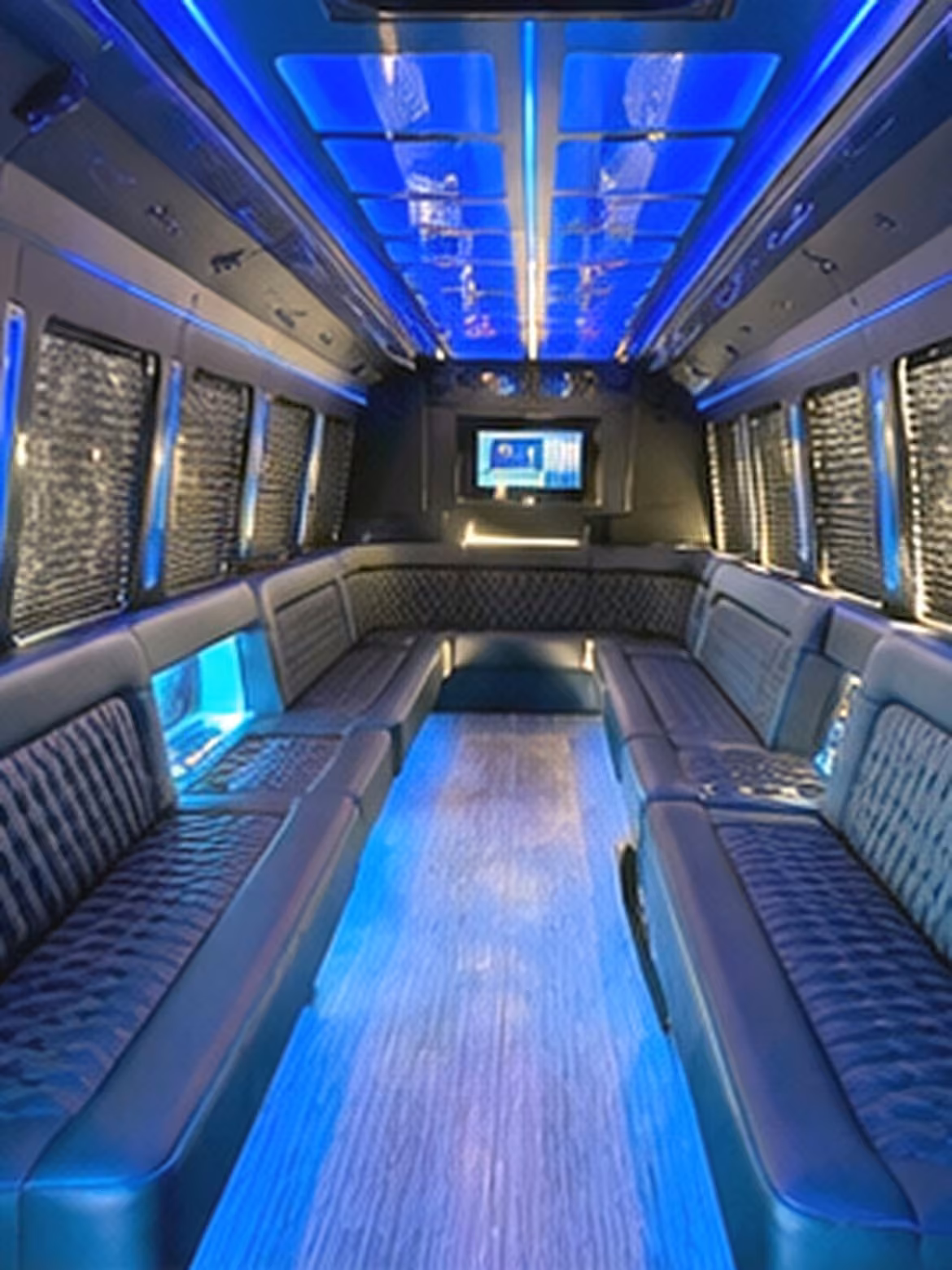 15 passenger party bus interior