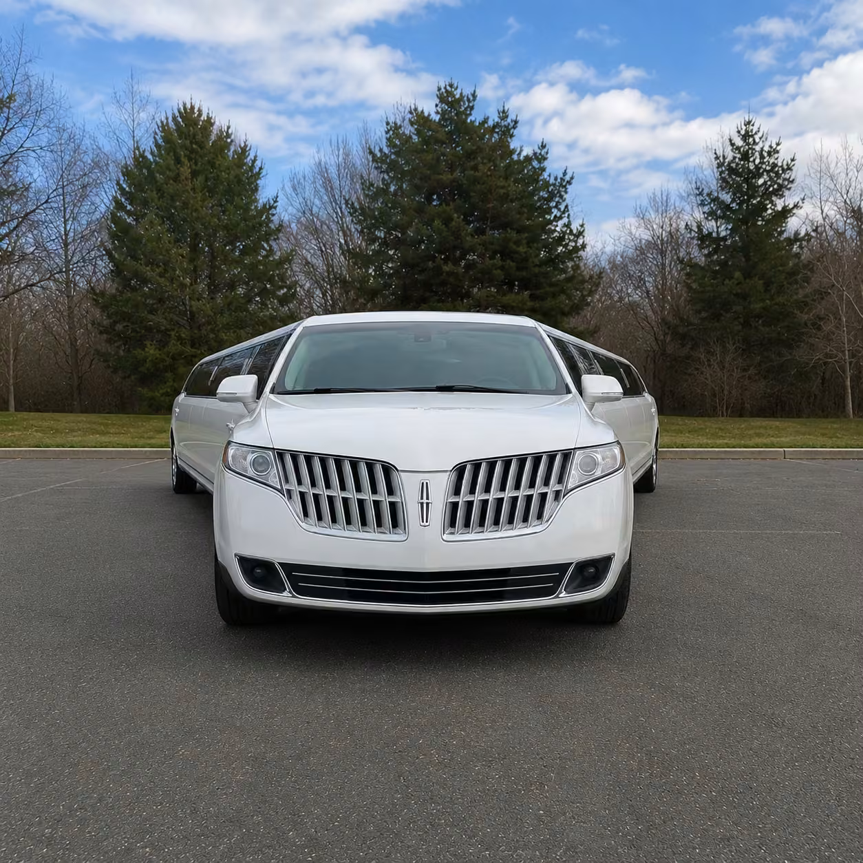 new orleans limousine exterior